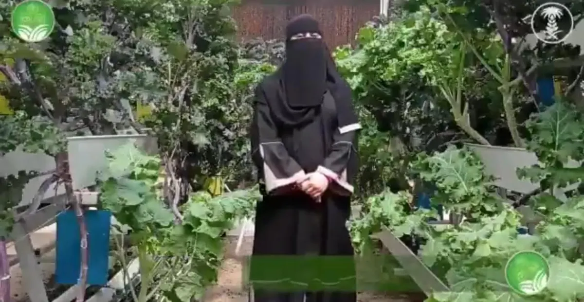 فيديو.. من جزيرة تاروت.. مريم معيلو من هاوية إلى منتجة.. تبنت نظم الزراعة الحديثة