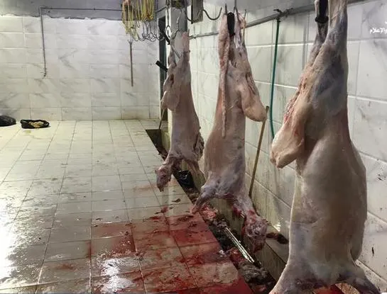 في ثاني حادثة خلال ٢٤ ساعة.. ضبط مسلخ يمارس الذبح بعيدًا عن أعين الرقابة