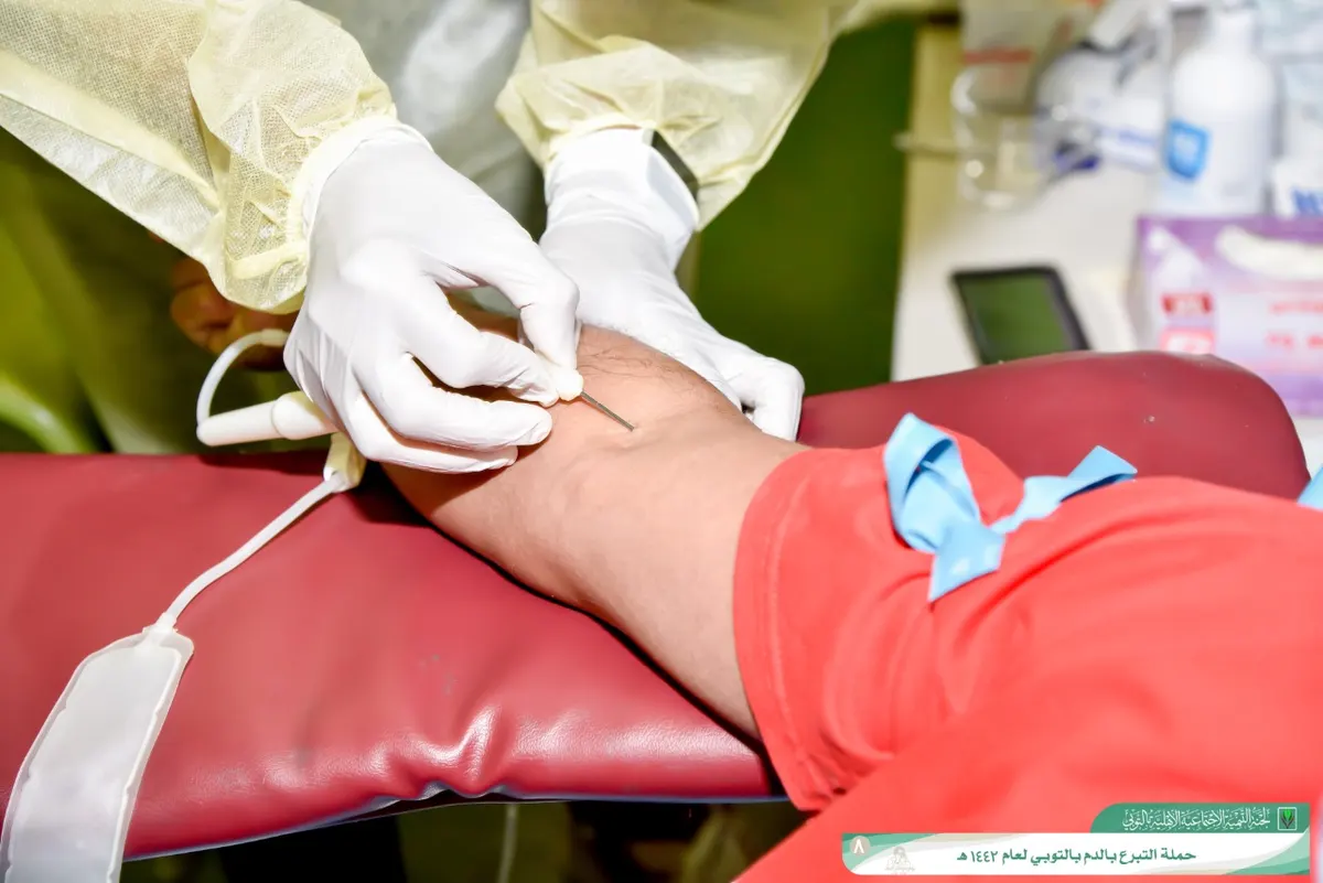 في التوبي.. 113 متقدمًا لـ«البطولة تأتي بأكثر من طريق» في يومها الثاني.. وعدم اكتمال الشروط يستبعد 12 منهم