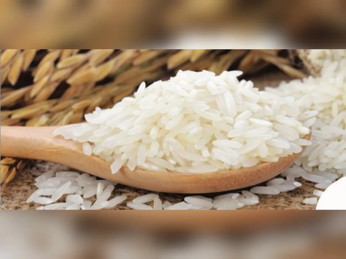 بدءًا من اليوم وحتى نهاية شهر رمضان.. خيرية القطيف تستقبل زكاة الفطر