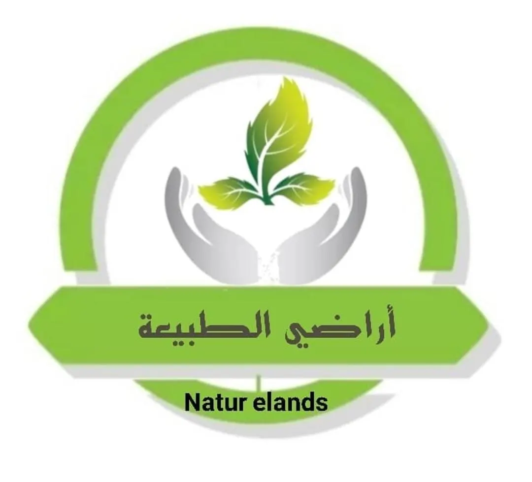 عروض أراضي الطبيعة.. مختصون في بيع التمور والمعمول والكليجة العضوية
