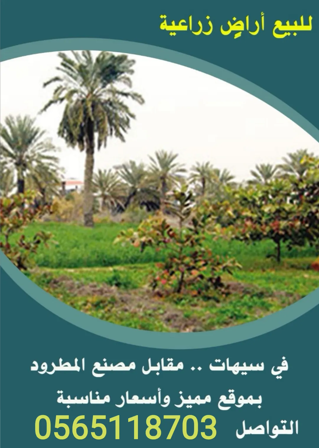 فرصة ذهبية.. أراضٍ زراعية للبيع في سيهات