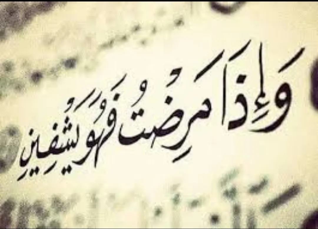 أم الحمام - سيهات.. الحاجة مدينة الأسود على السرير الأبيض