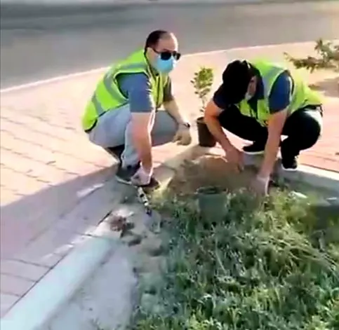 في الأوجام.. 24 متطوعًا يغرسون 91 شتلة في مدخل البلدة لـ«بلدتنا خضراء جميلة»