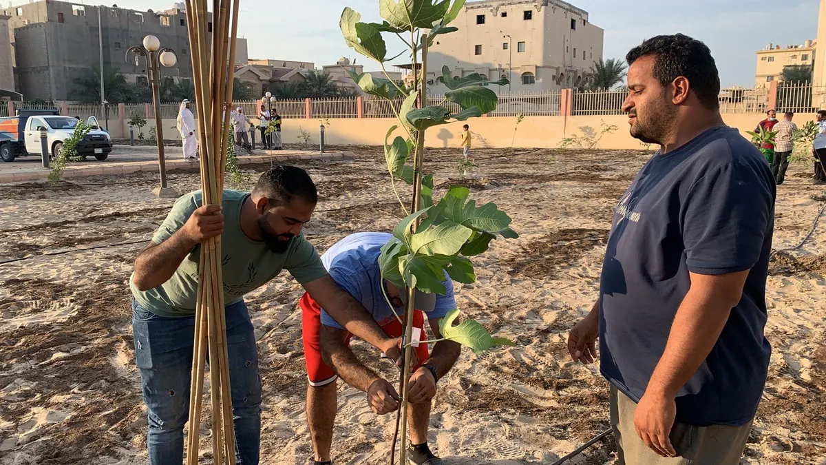 بـ أيدي 100 متطوعًا.. الأشجار القطيفية تزيّن ساحة صحي حلة محيش.. تين ولوز وليمون