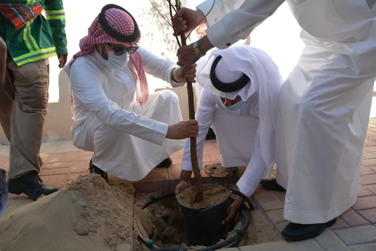 بدءًا من اليوم.. مواقف السيارات في القطيف مظللة بالأشجار