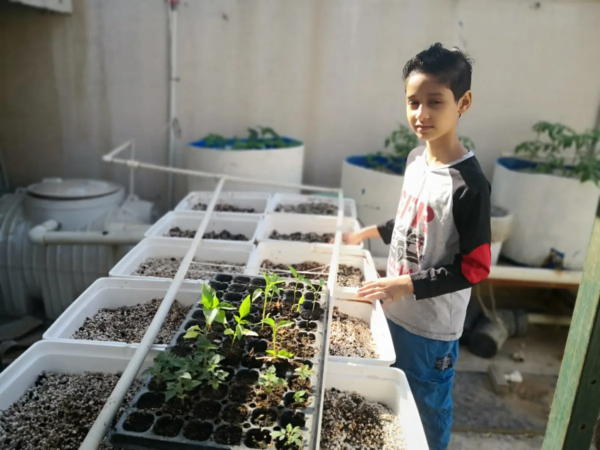 من البحاري.. على خلاف أبناء عمره.. صالح الزيد يتخذ من الزراعة بديلًا للإلكترونيات.. ويهدى مدرسته ٥٠ شتلة طماطم