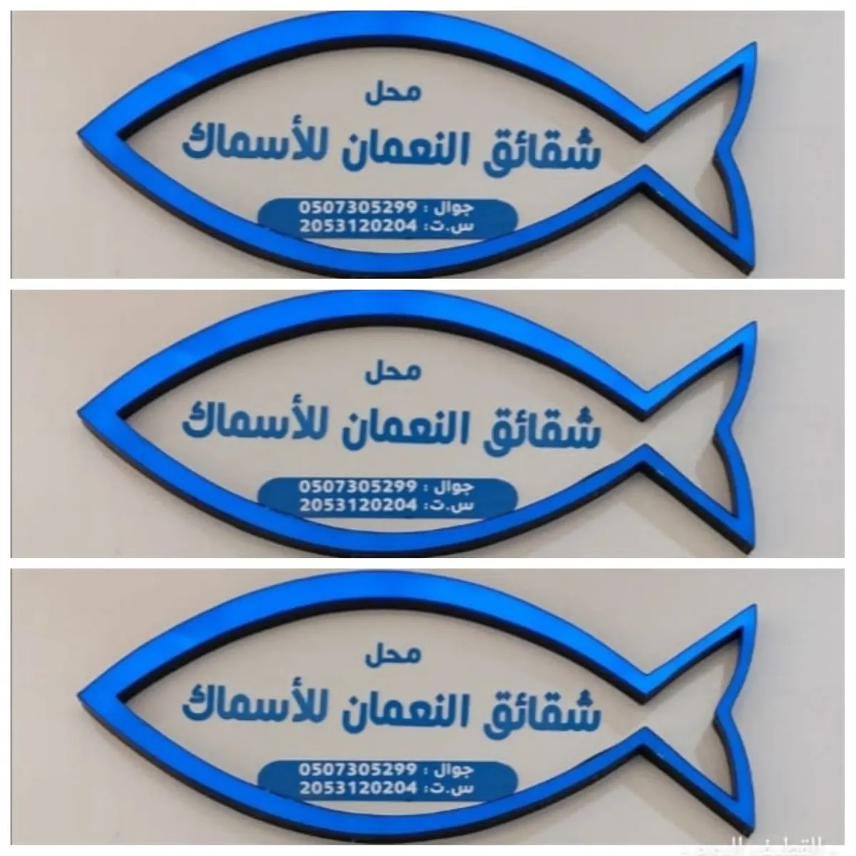 عروض «شقائق النعمان للأسماك الطازجة» بجزيرة الأسماك بالقطيف