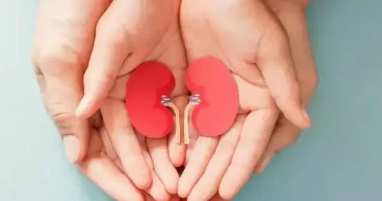 شبكة القطيف الصحية تواجه أمراض الكلى.. في مجمع دارين مول