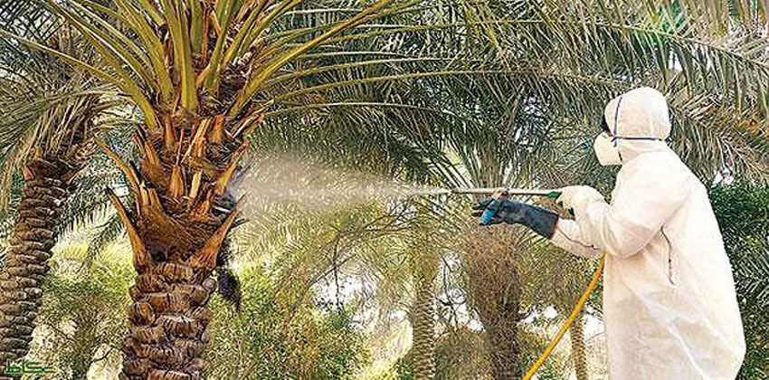 بانوراما الصحافة المحلية الخميس 14 شعبان 1443هـ