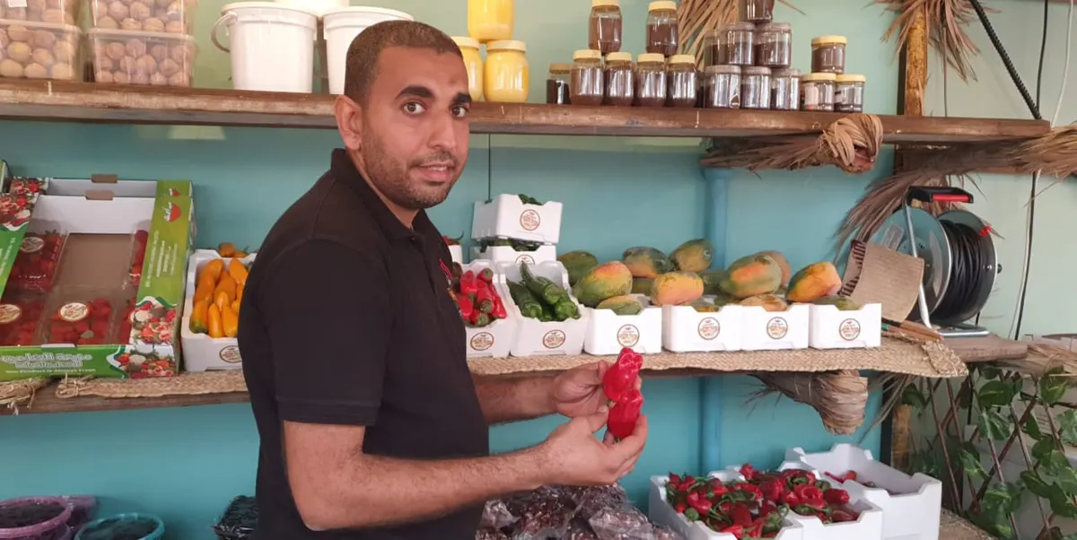 من الجش.. جمال البصري معلم حول ملعب مدرسته مزرعة.. واستعرض خيراتها في براحة القطيف