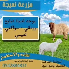 في القطيف.. عروض لا تفوّت بمناسبة شهر رمضان المبارك على الذبائح بأسعار مناسبة