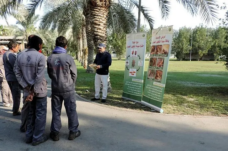 في القطيف.. الزراعة تحارب سوسة النخيل الحمراء والحد من انتشارها