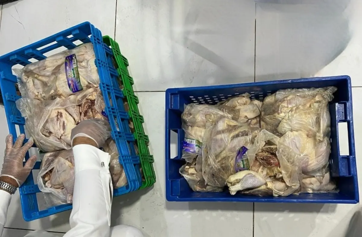 من جديد في القطيف.. ضبط محل يغش الزبائن.. يذيب الدجاج المجمد ويبيعه كـ طازج.. صور وفيديو