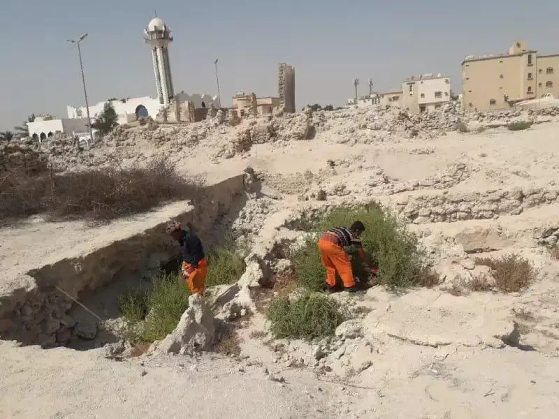 بلدية القطيف تحسن المشهد الحضري في المواقع الأثرية لـ تاروت ودارين .. وتشجّر الطرق والواجهات البحرية في المحافظة