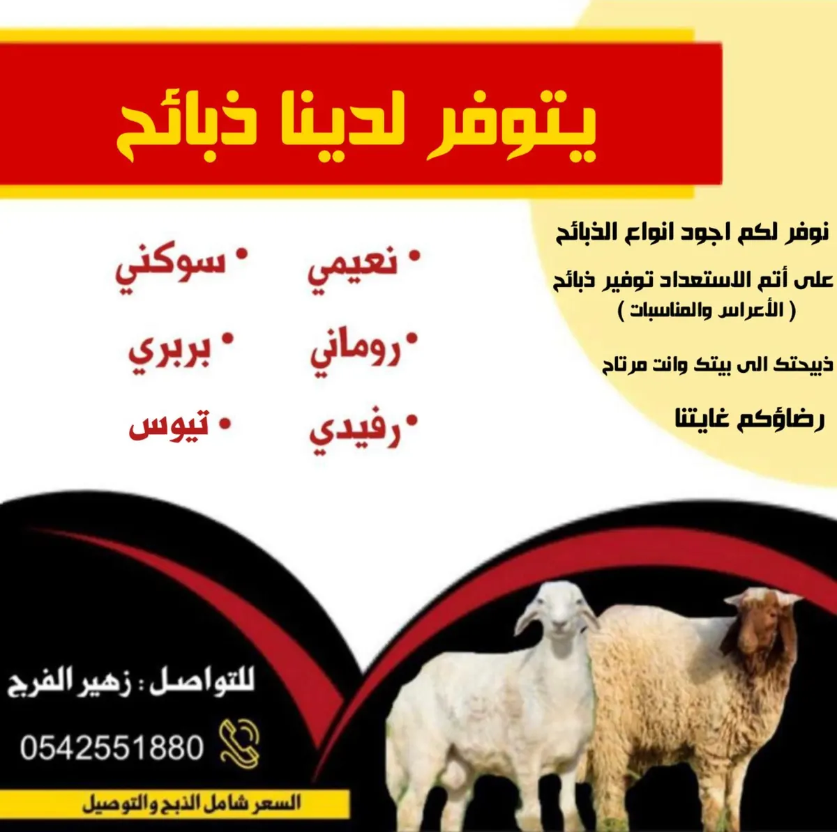ذبيحتك إلى بيتك وأنت مرتاح.. أجود الذبائح النعيمي والروماني