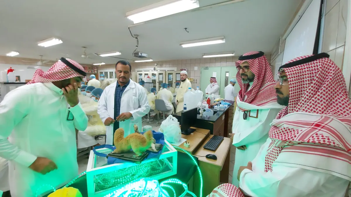 في القطيف.. تجارب عملية وتشريح وتحنيط لـ كائنات حية.. في معرض «درّبنِي.. لأُتقِنَ مهارة»