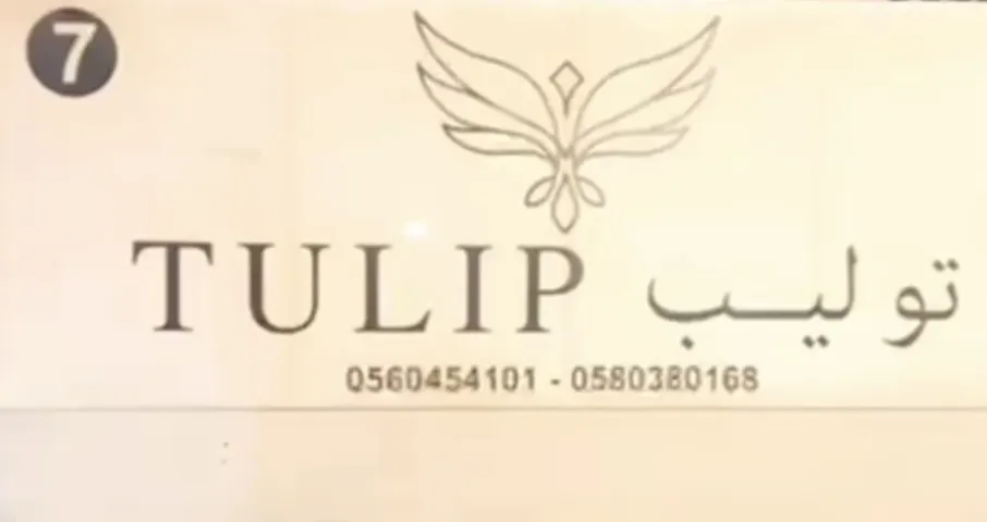 أقوى عرض في توليب 7 للأفراح