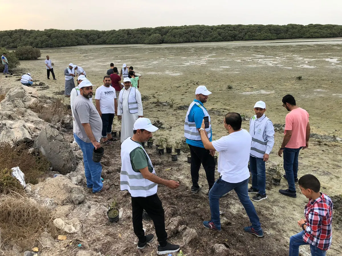سواحل جزيرة تاروت على موعد بـ المانجروف.. 250 متطوعًا ساهموا في المرحلة الأولى لزراعتها