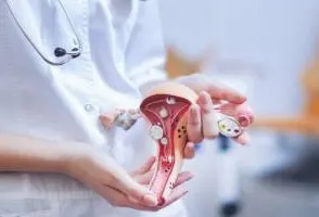 في مجيدية القطيف.. «النور الأحمدي» يستضيف ندوة «الطب وخصوصية المرأة»