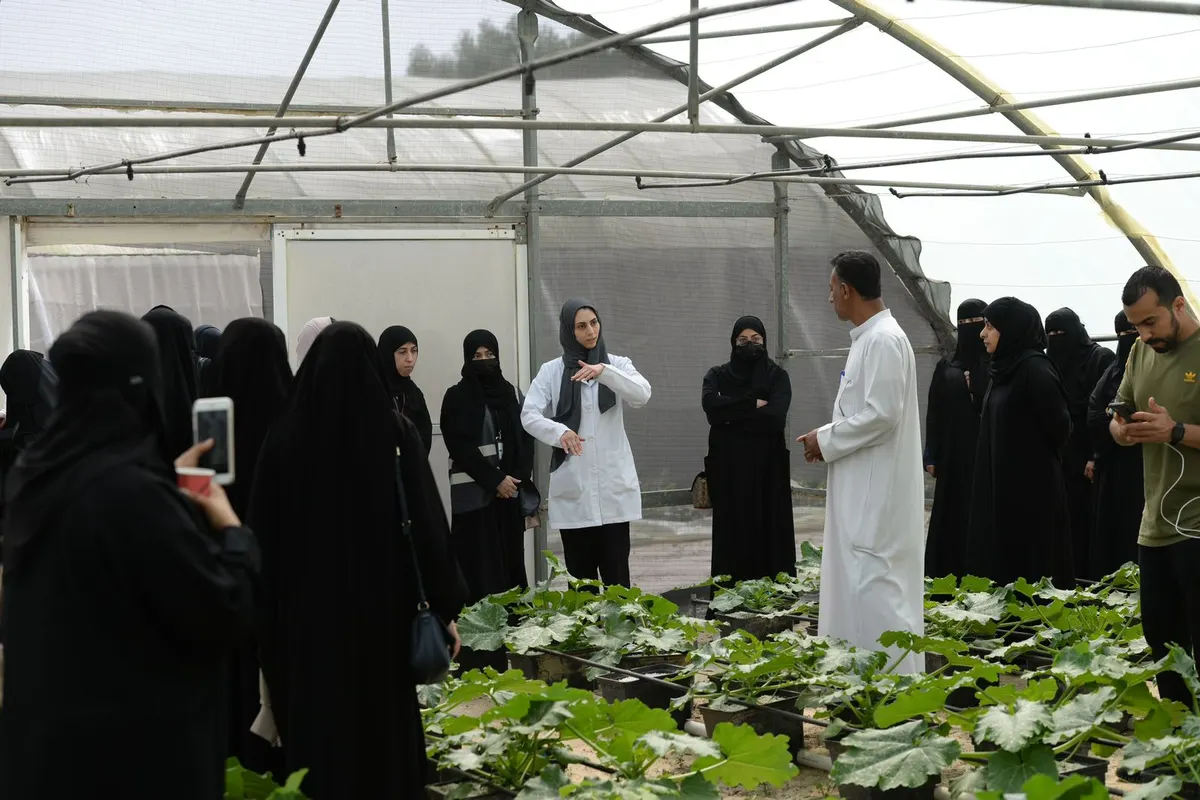خارج أسواره.. صحي القديح يصطحب 38 سيدة ورجل في رحلة غذاء صحية «ثمرات اليوم» وعرفهم على الزراعة المائية