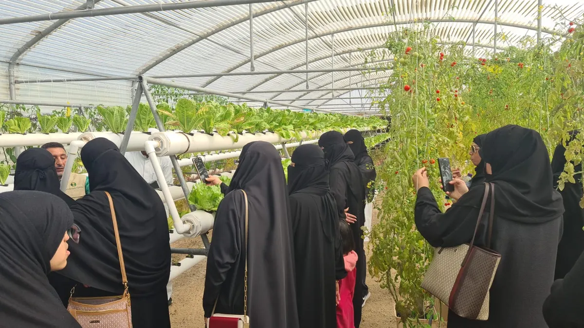 عبر «غذائي صحتي».. صحي حزم صفوى يصحطب مستفيديه لـ رحلة في الزراعة المنزلية المائية