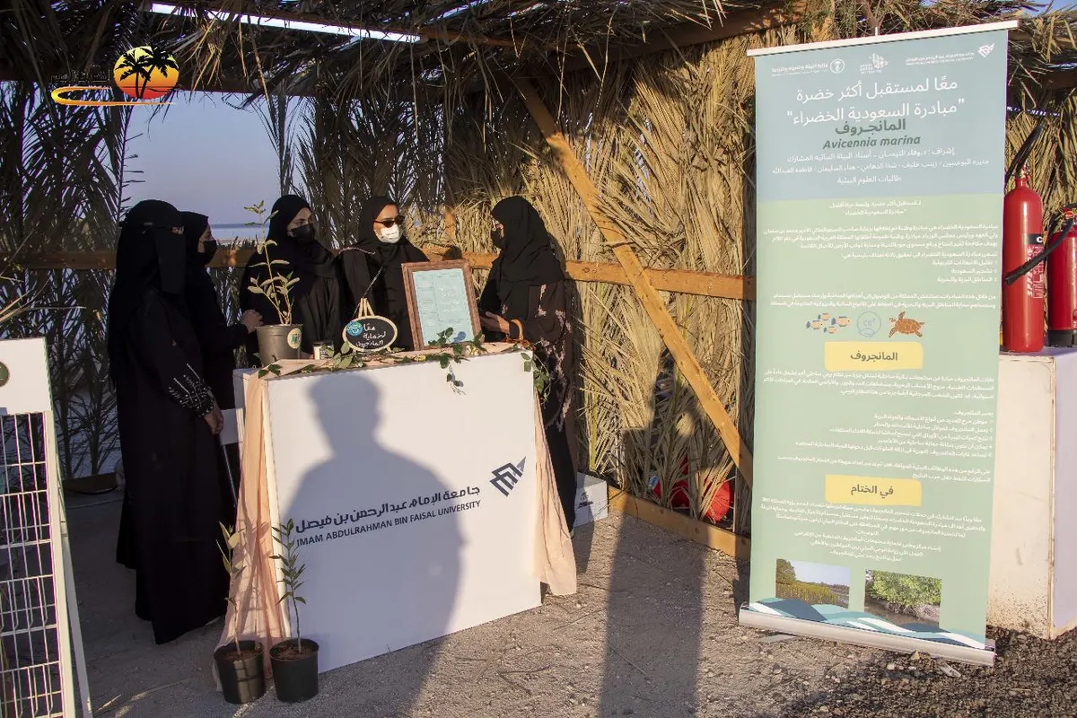 في سيهات.. طالبات جامعة الإمام عبدالرحمن بن فيصل يربطن مبادرة «لنجعلها خضراء» بـ«المانجروف»