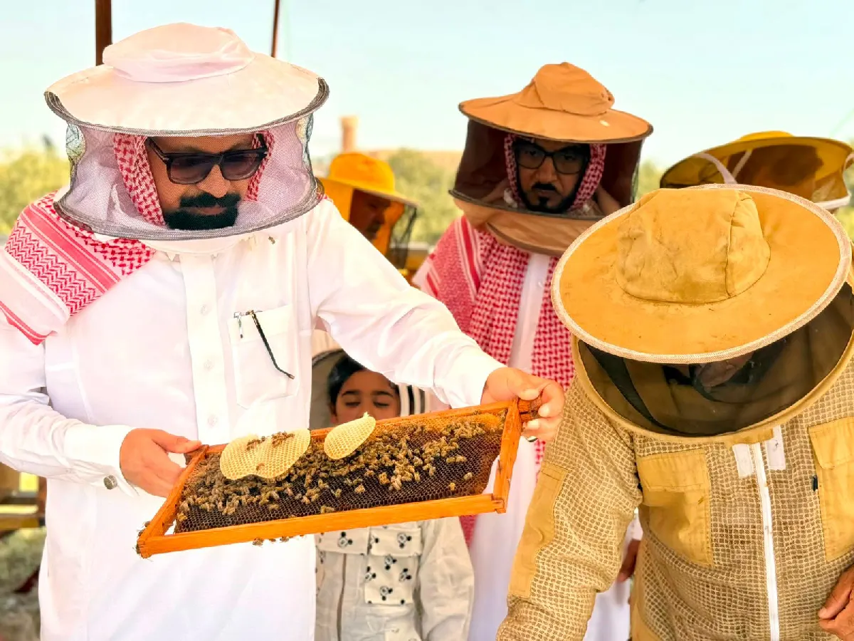 من خلايا النحل إلى غابات صفوى.. الأصمخ يقف على رحلة انتاج عسل المانجروف