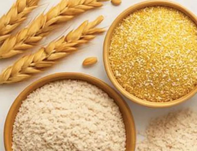 بوسائل آمنة ومتعددة.. جمعية أم الحمام الخيرية تعلن استقبال زكاة الفطر لعام 1447هـ
