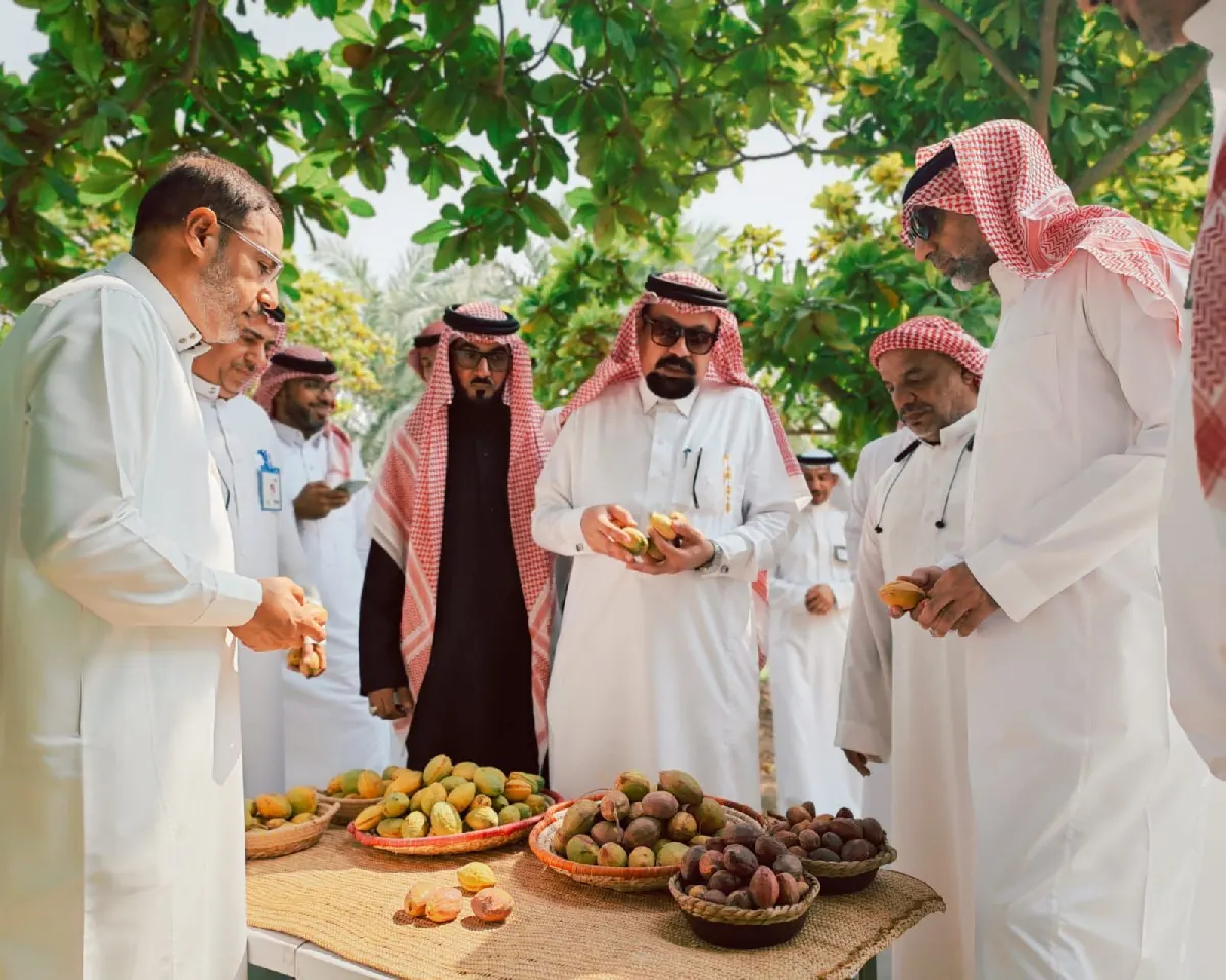 موسم قطف «اللوز القطيفي» يفتح شهية وزارة البيئة والمياه لمزيد من الدعم والإرشاد