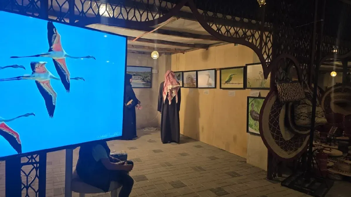طباخة القار وأبو الخصيف والعقعق على جدران قلعة تاروت