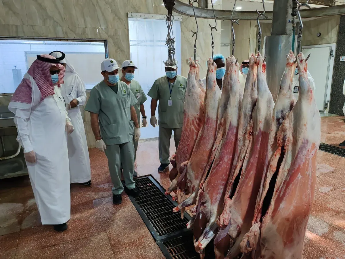 استعدادًا لعيد الفطر.. البيئة والمياه والزراعة بالقطيف تشدد الرقابة على المسالخ