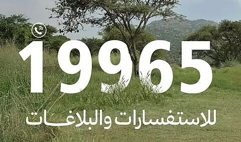 «الغطاء النباتي» يطلق خدمات الرقم الموحد (19965) لتلقي البلاغات والاستفسارات