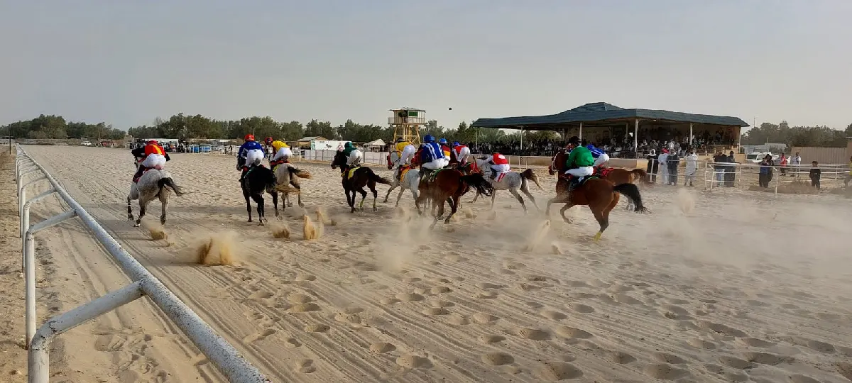 خيالو القطيف وخيولها يهرولون في منافسات الحفل السابع بـ فروسية الدمام