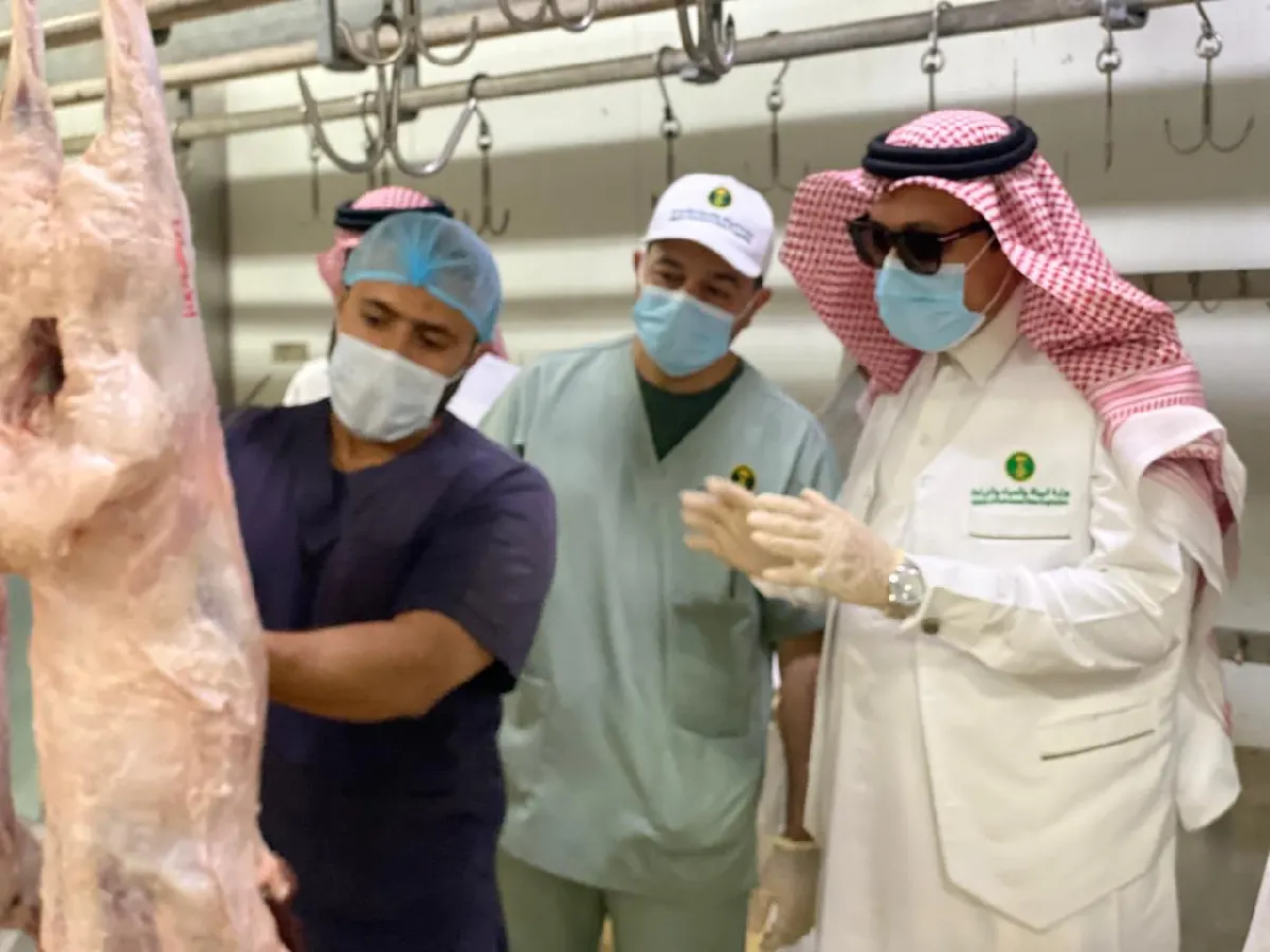 القطيف ترفع جاهزيتها.. جولة مفاجئة على المسالخ تكشف الاستعداد الكامل لعيد الأضحى