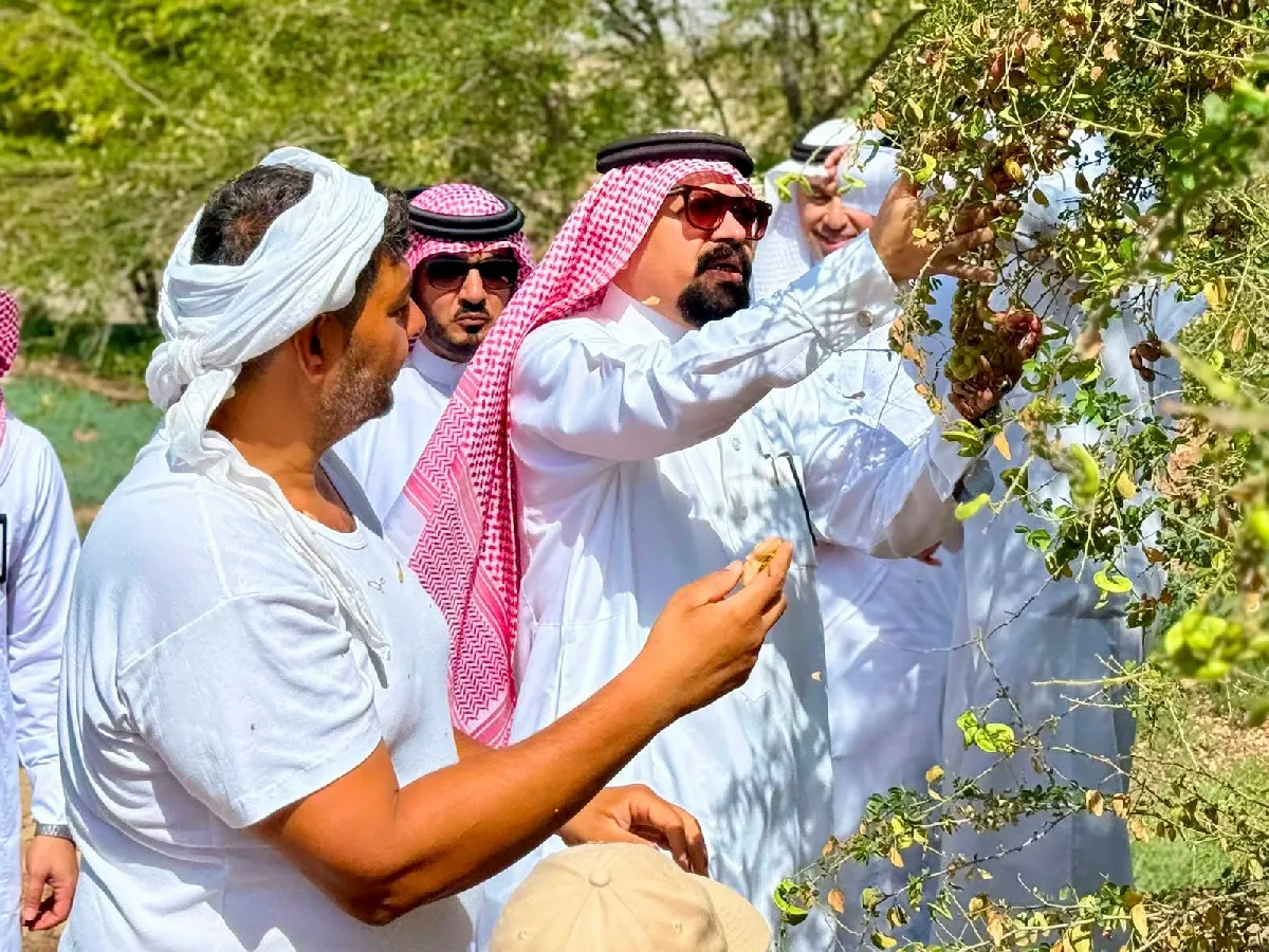 من أغصان المزارع إلى فرص الاستثمار.. «الأصمخ» يقود جولة ميدانية لاستكشاف كنوز الكعك واللوز القطيفي