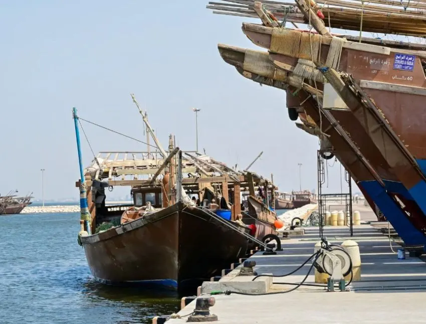 انطلاقة مبشّرة لموسم الروبيان 2025… 710 تصاريح وجاهزية كاملة بمرافئ المنطقة