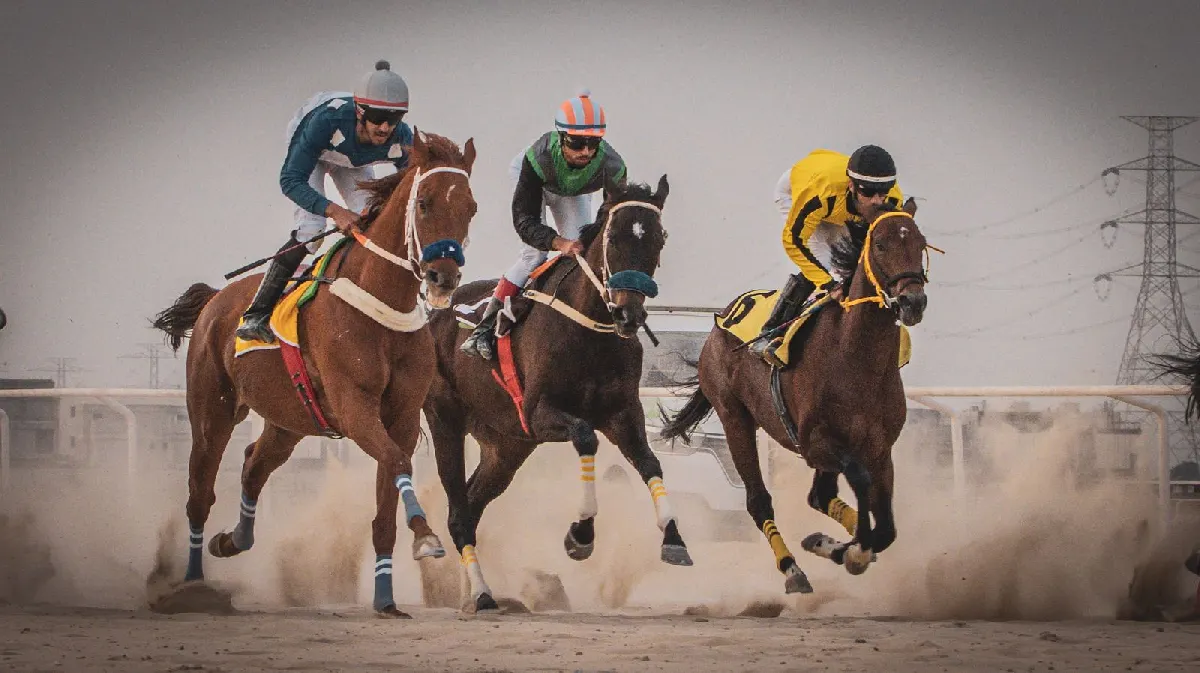 الفروسية تجمع ملاك القطيف والشرقية في ميدان الدمام الثامن