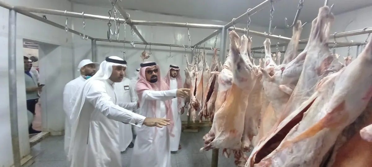 تحت رقابة صحية مشددة.. مسالخ القطيف تستقبل أضاحي عيد الأضحى المبارك لعام 1444هـ