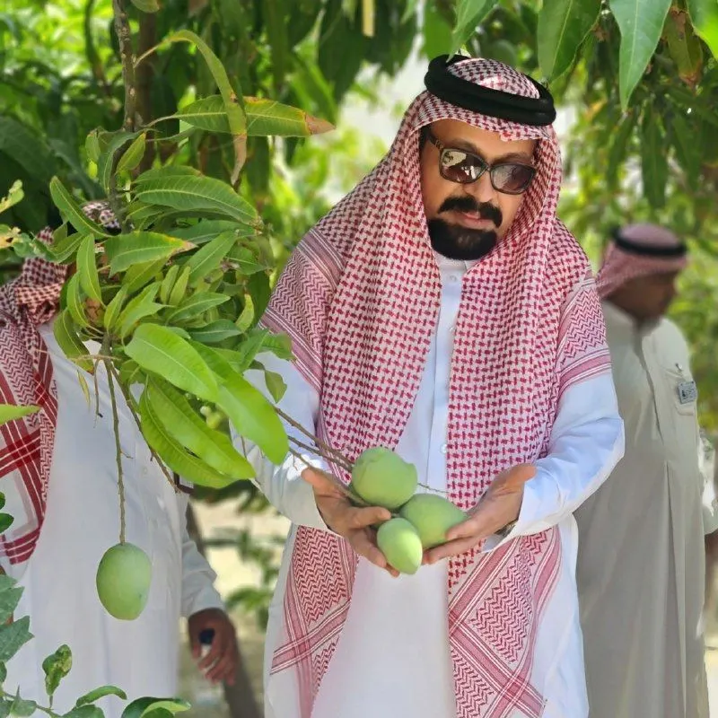 في القطيف.. البيئة والمياه والزراعة تطلع على نجاح زراعة المانجو في المحافظة