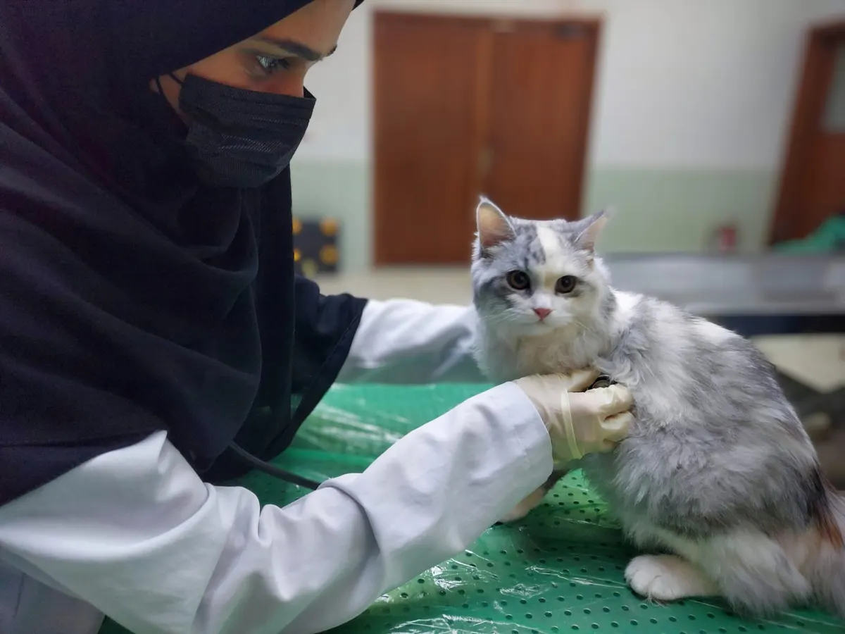 زراعة الشرقية تنهي تدريب طلاب كلية الطب البيطري