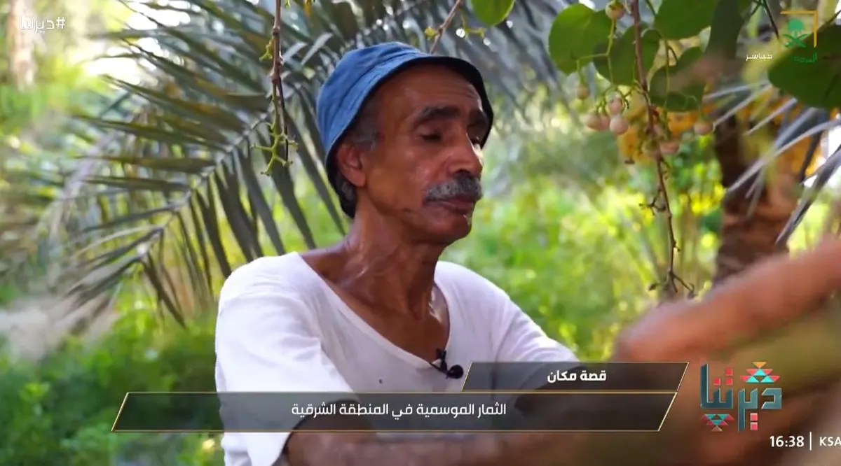في أم الحمام.. بين ثمار الأجداد وحلوى الأحفاد.. علي آل شهاب يروي قصة حنينه لتراثه وتاريخه في مزرعته