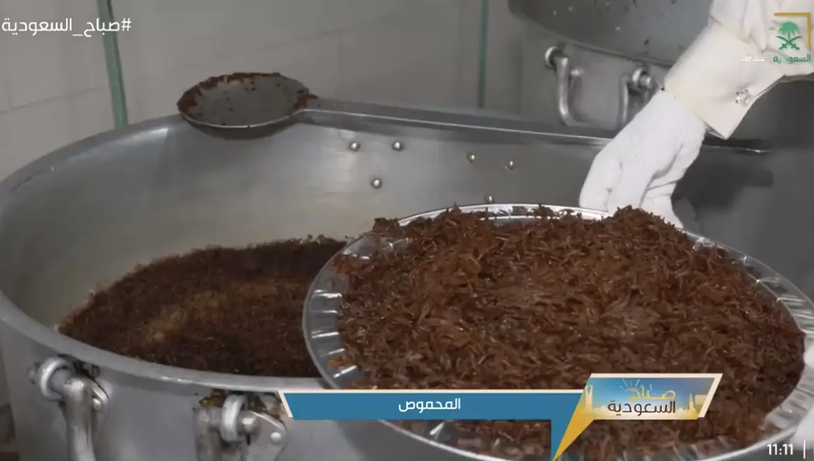 «المحموص» على الإخبارية السعودية.. أكلة شعبية مميّزة تفرّد بإعدادها أهل القطيف
