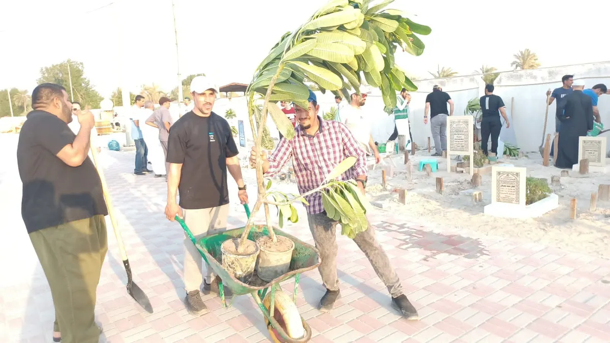الياسمين الباكستاني يظلل قبور خباقة القطيف