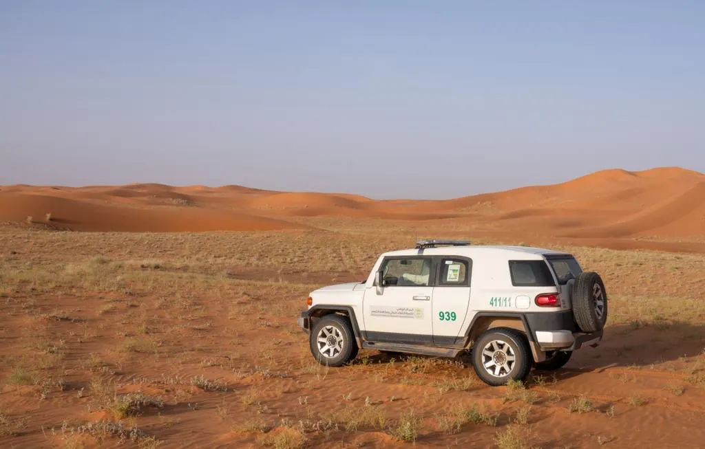 «مركز الغطاء النباتي» يرصد أكثر من 190 مخالفة للوائح نظام البيئة خلال 60 يومًا