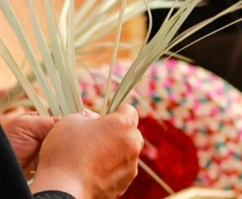 الجش تحتفي بيوم عالمي «منسي».. جدات يشاركن فتيات المتوسطة الأولى يومًا دراسيًا مختلفًا