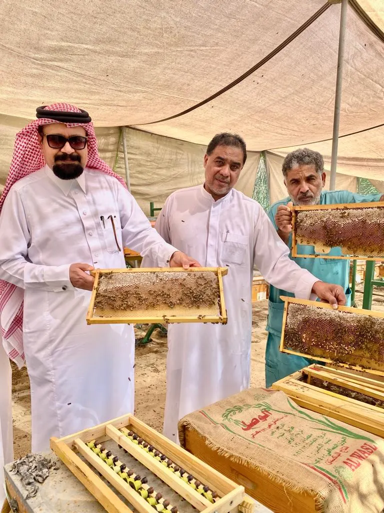 مدير مكتب بيئة القطيف في زيارة لمناحل عسل رأس تنورة