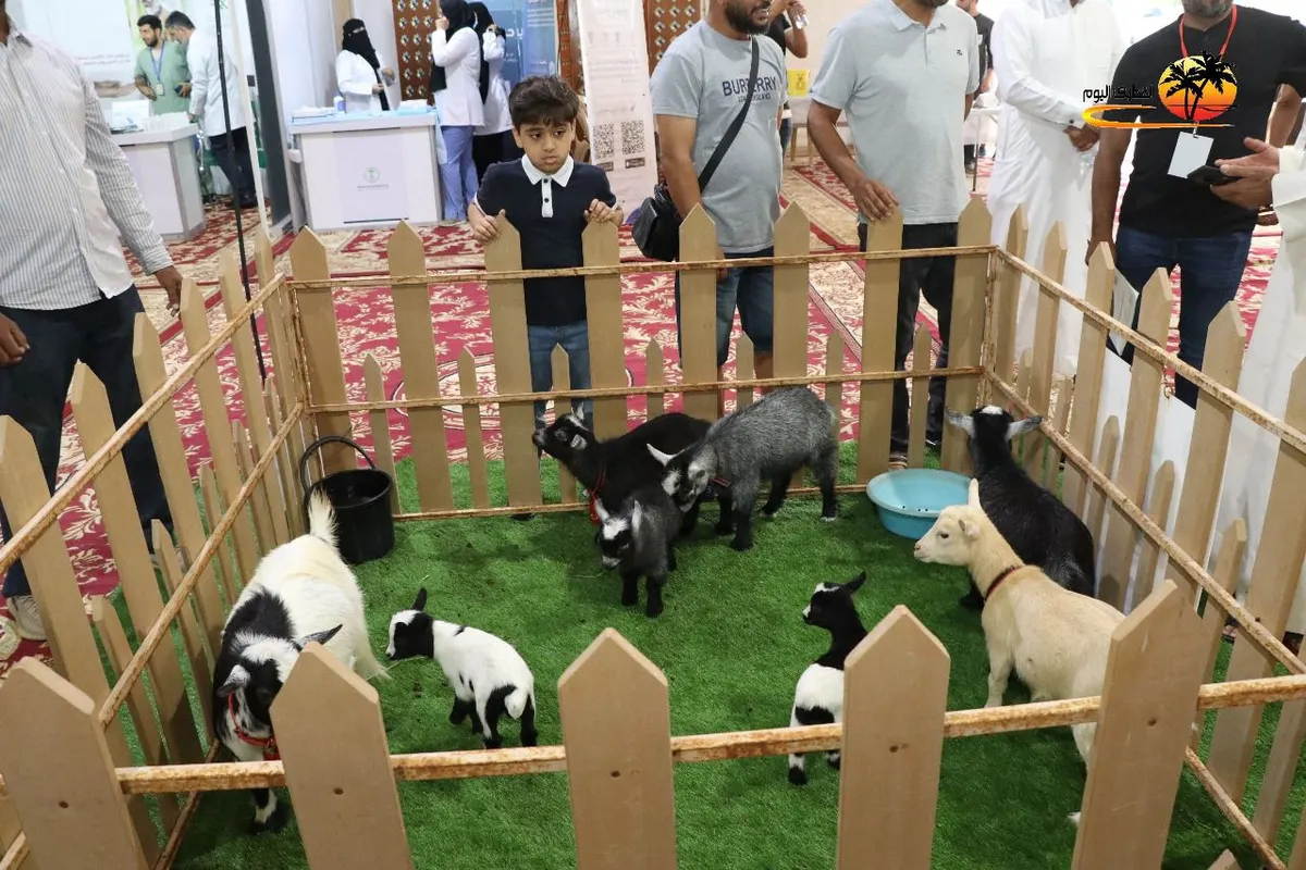 في عالم الحيوانات الأليفة بالقطيف.. اختصاصيون يشاركون بـ أربع محاضرات تثقيفية