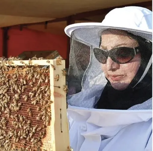 في مهرجان العسل بالقطيف.. سلسلة محاضرات حول تربية النحل والزراعة العضوية