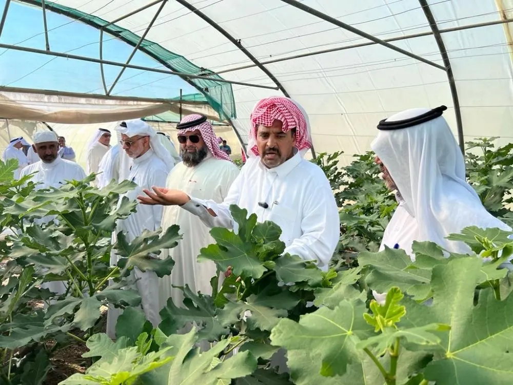 50 مزارعًا أحسائيًا يستنسخون تجارب القطيف